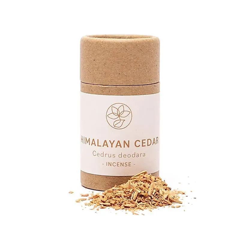Himalayaceder wierookkruid
