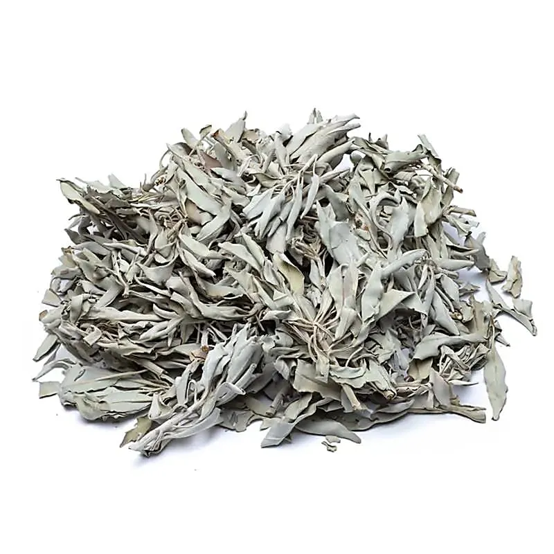 Wierook Witte Salie (Salvia Apiana)