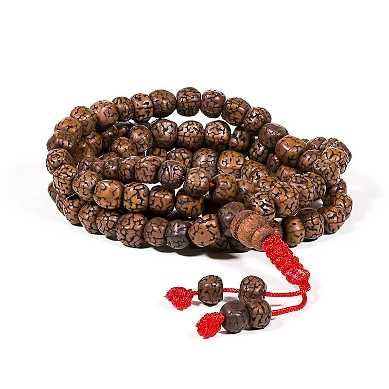 Mala gepolijste Rudraksha 108 kralen