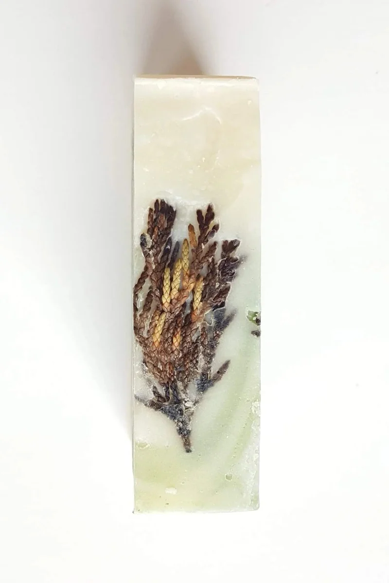SEQUOIA Savon Cedar