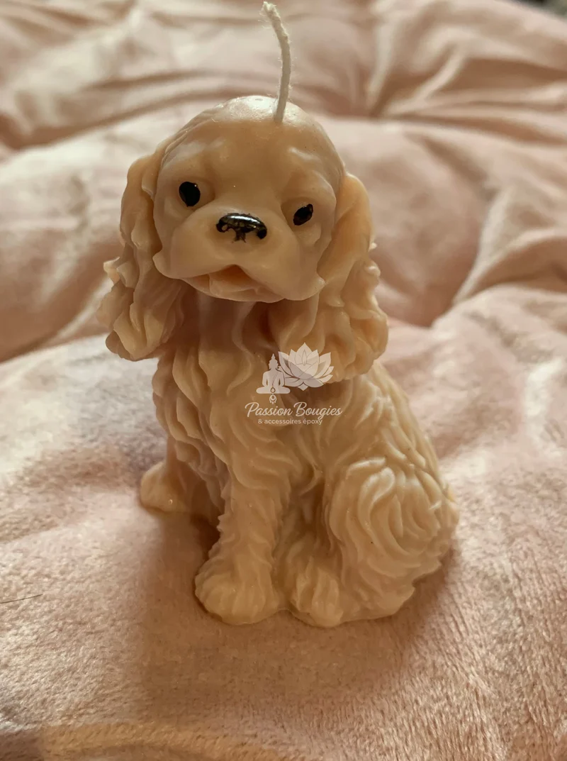 Chien cocker