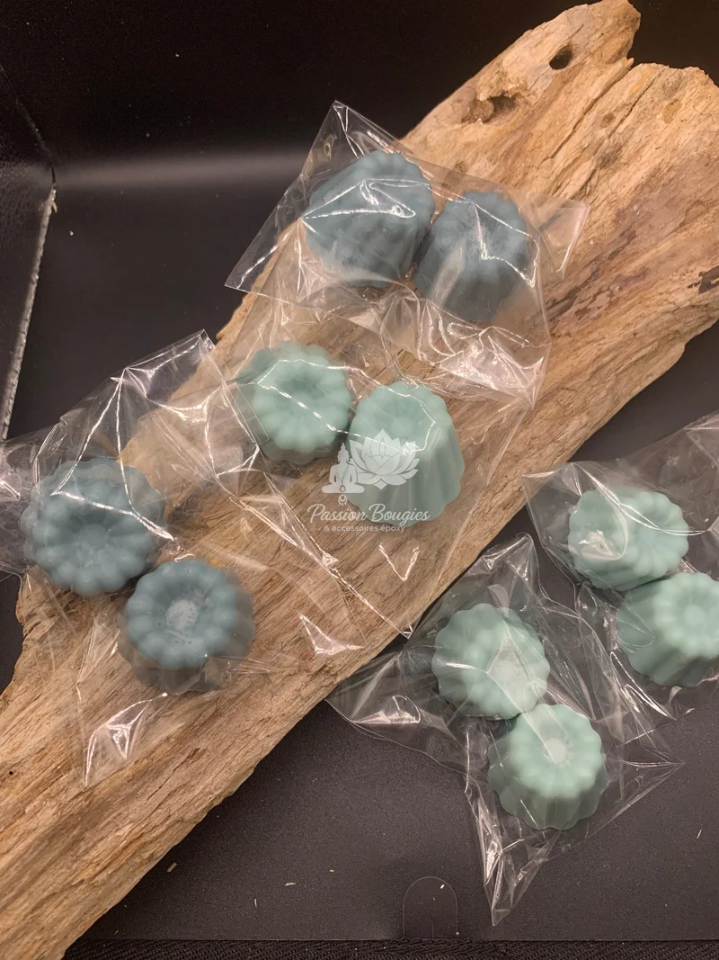 2 Fondants en cannelé, parfumés à la menthe chlorophylle