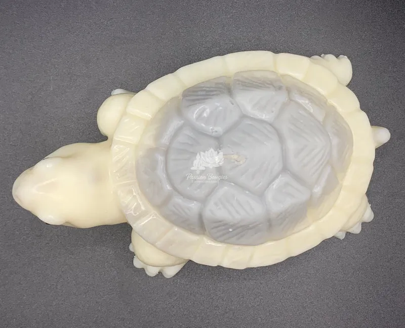 Tortue