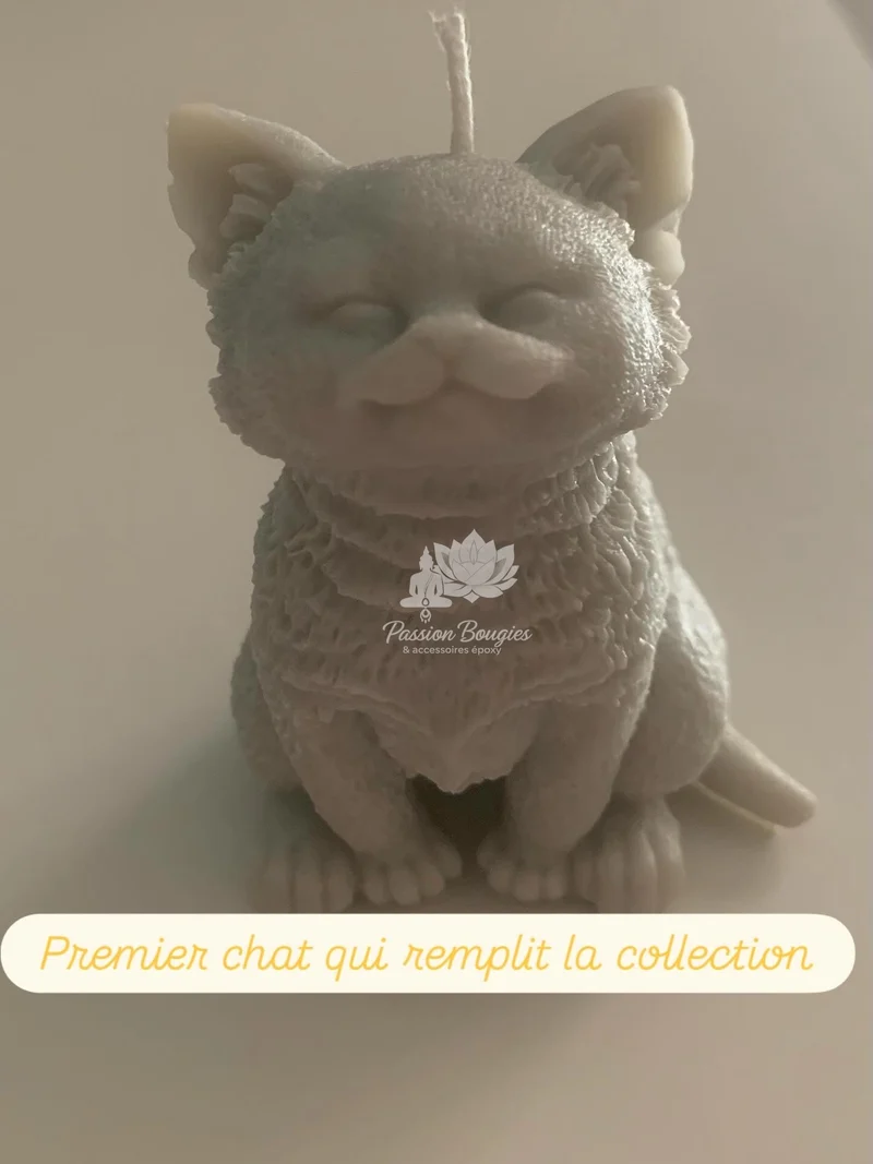 Chat assis yeux fermés