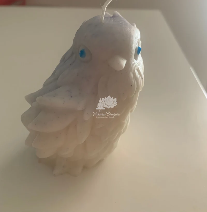 Oiseau fantastique