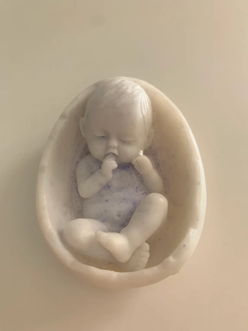 Bébé dans coquille