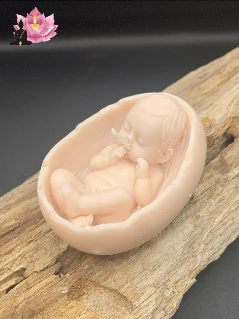 Bébé dans coquille