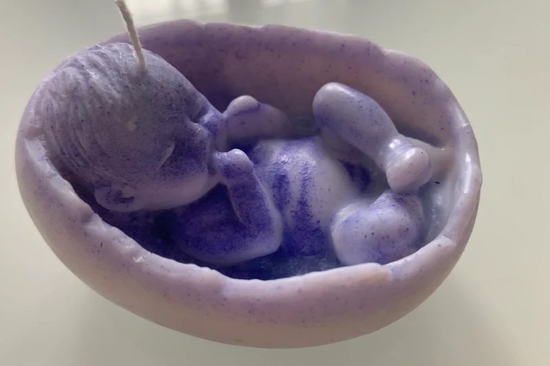 Bébé dans coquille
