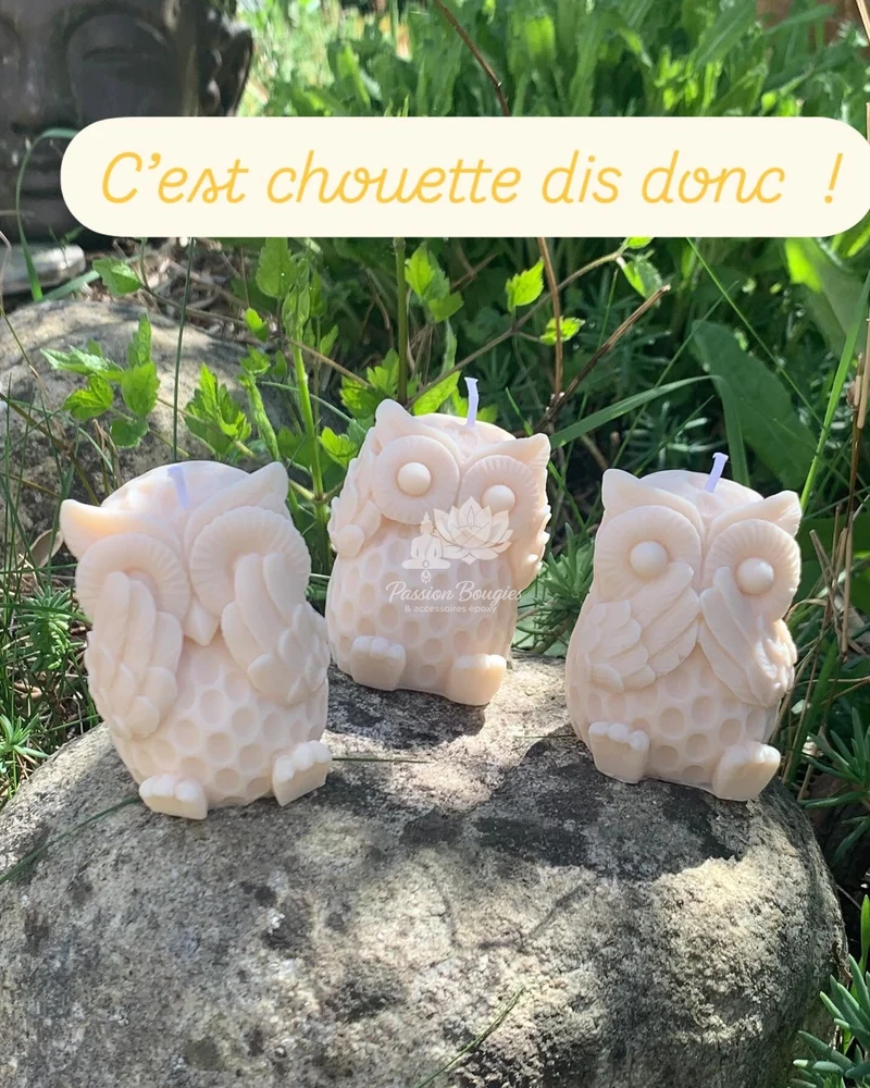 Chouette je ne vois pas, n’entend pas ou ne dit rien