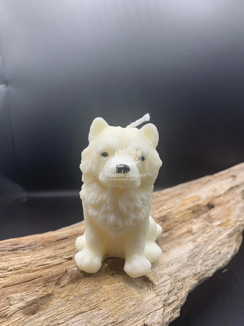 Chow-chow