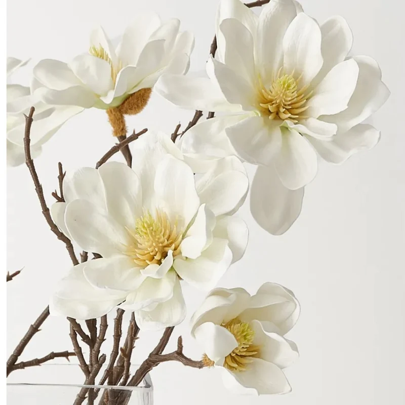 Magnolia White - Flower Arrangement