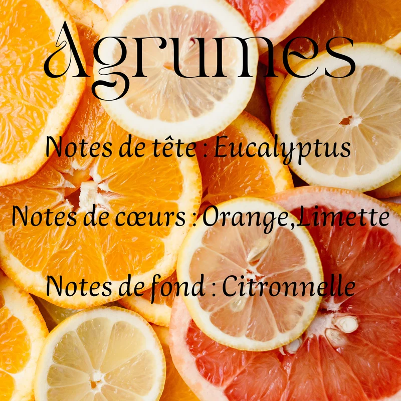 Fondants parfumés Gourmand & Fruités
