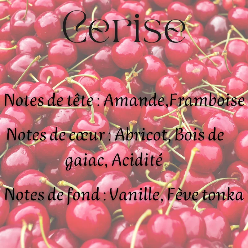 Fondants parfumés Gourmand & Fruités
