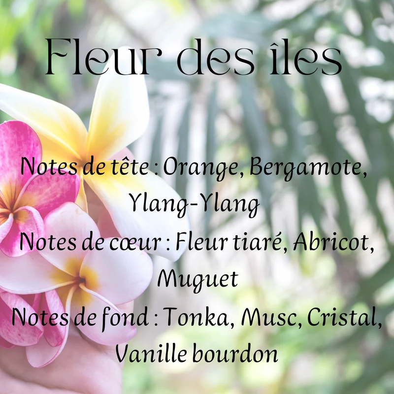 Fondants parfumés Cocooning