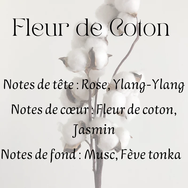 Fondants parfumés Floral et Solaire