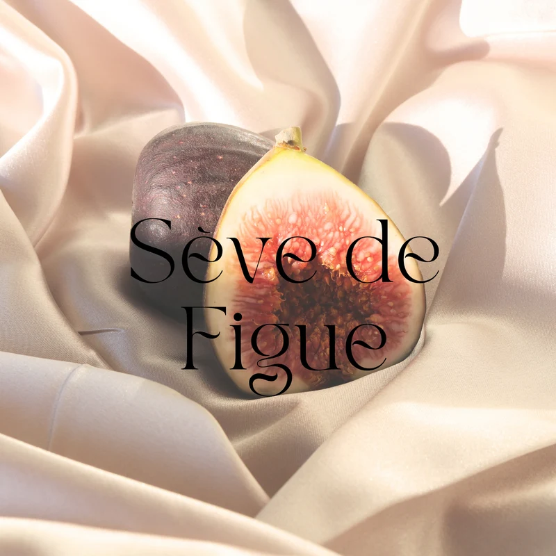 Fondants parfumés Floral et Solaire