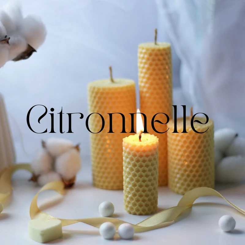 Fondants parfumés Floral et Solaire