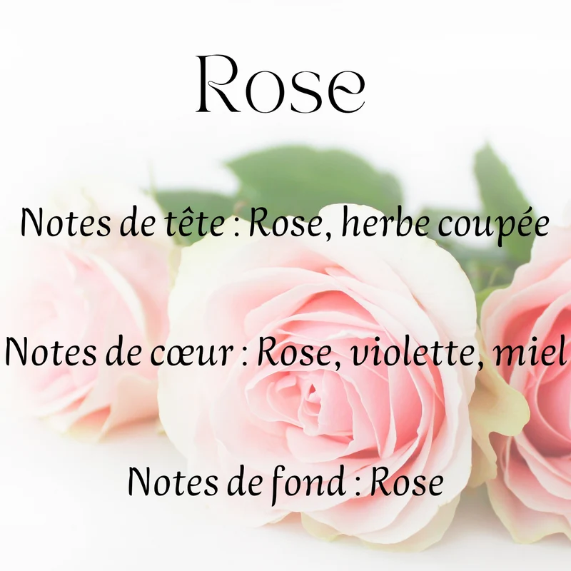 Fondants parfumés Floral et Solaire