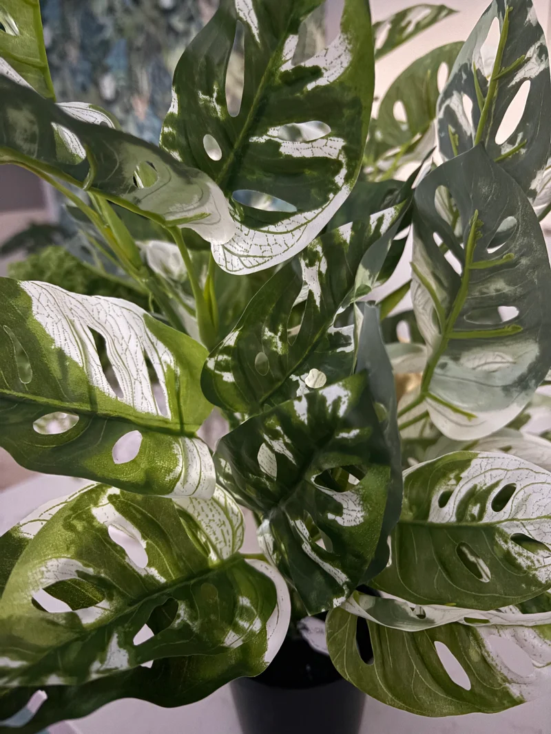 Monstera Artificial Plant - Realistic Look