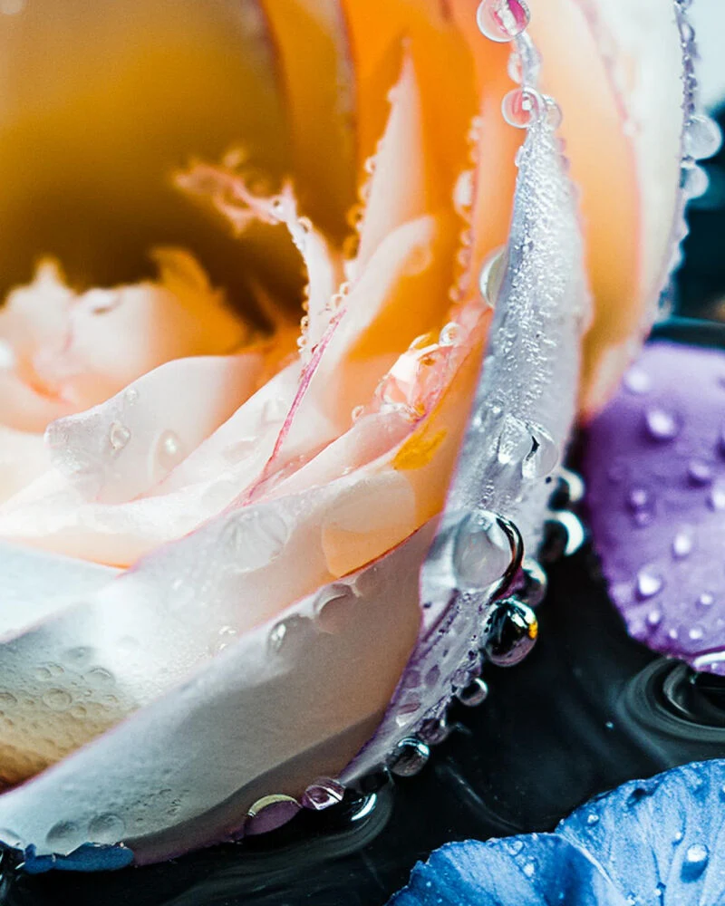 dark petals & amber dusk™ fragrance oil