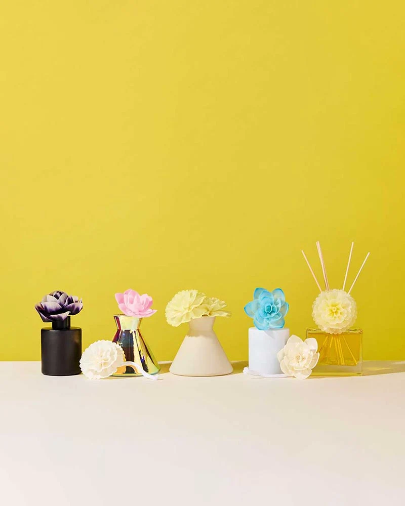 4oz chic diffuser set - translucent naked