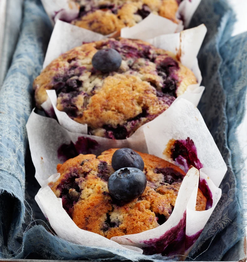 Blueberry Muffin - Fragrance Oil