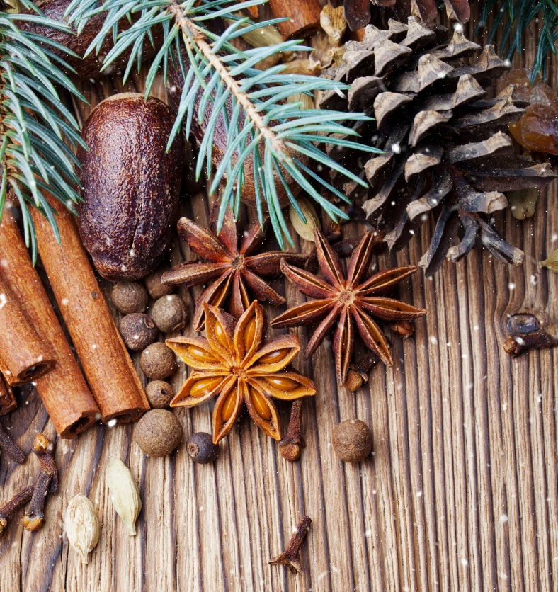 Victorian Christmas - Fragrance Oil