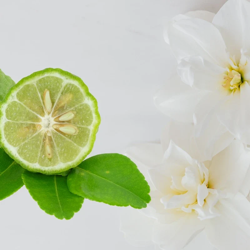 Bergamote musquée - Parfum pour bougie