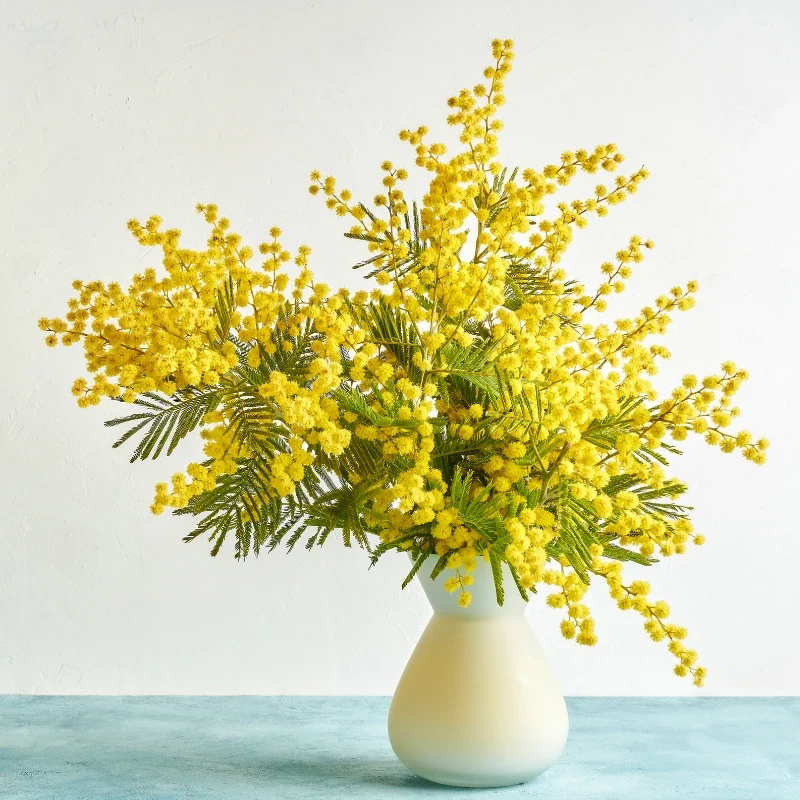 Mimosa - Parfum pour bougie