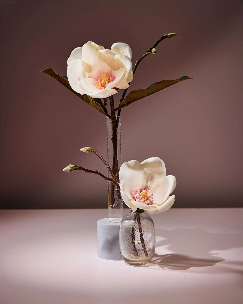essence of magnolia fragrance oil