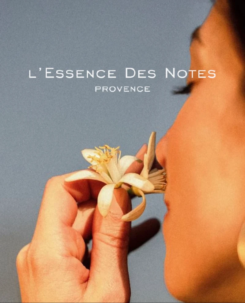 Eau de Parfum PAMPLEMOUSSE & BASILIC – Cassis, Muguet & Musc – Tonifiante & Vivifiante – 10ml – L'ESSENCE DES NOTES PROVENCE