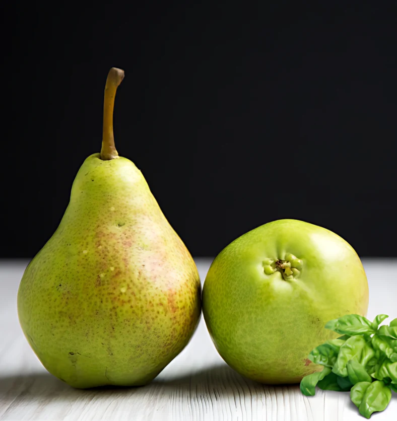 Basil and Bosc Pear - Fragrance Oil
