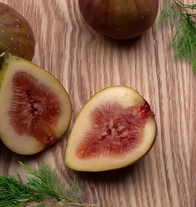 Cypress Fig - Fragrance Oil