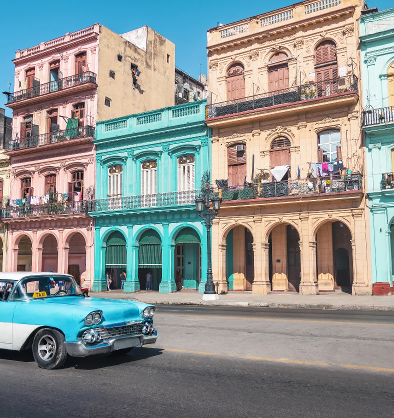 Havana - Fragrance Oil