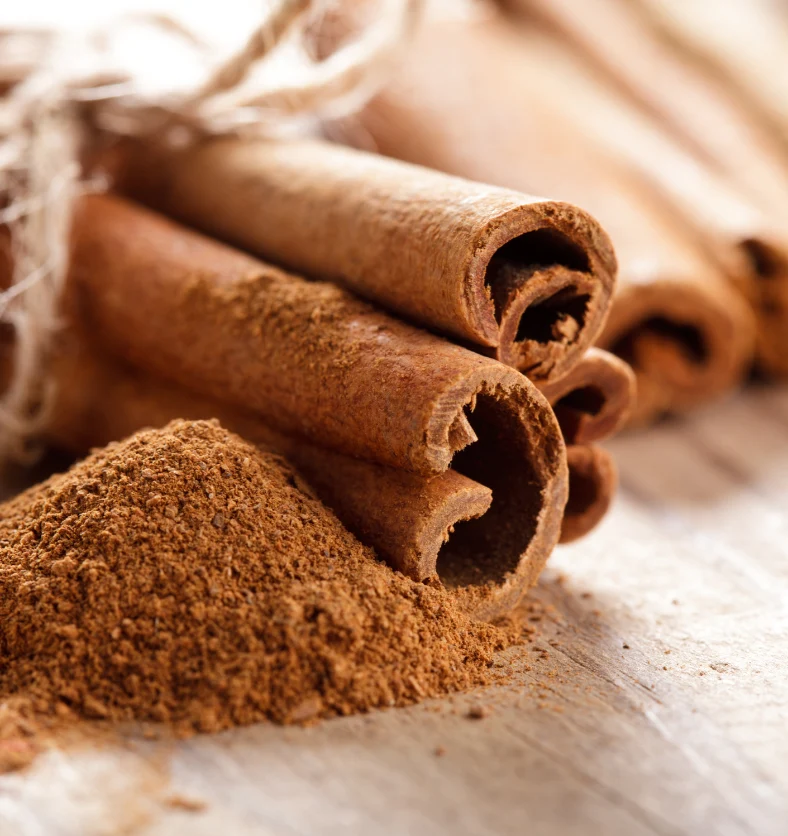Cinnamon - Fragrance Oil