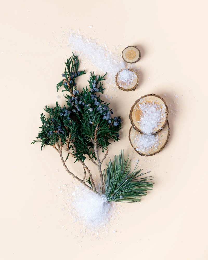 🎁 holiday fir & crisp juniper™ fragrance oil (100% off)