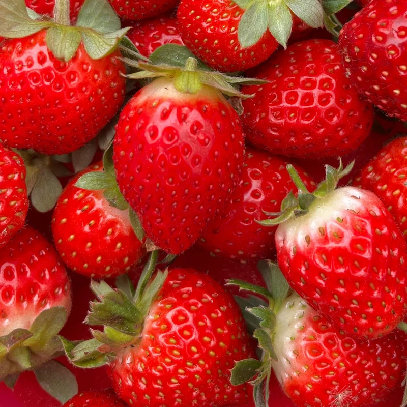 Sirop de Fraise - Parfum pour bougie