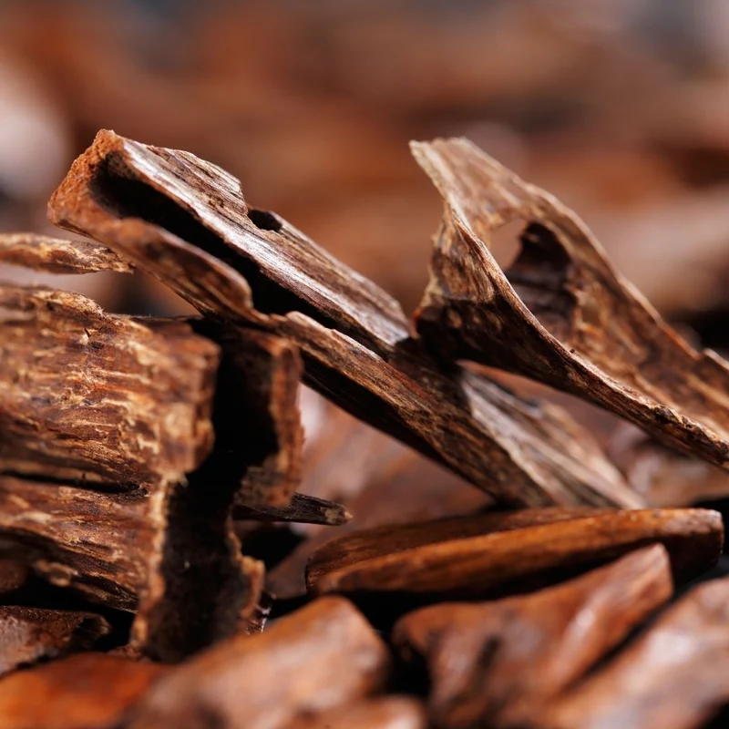 Bois de Oud - Parfum pour bougie