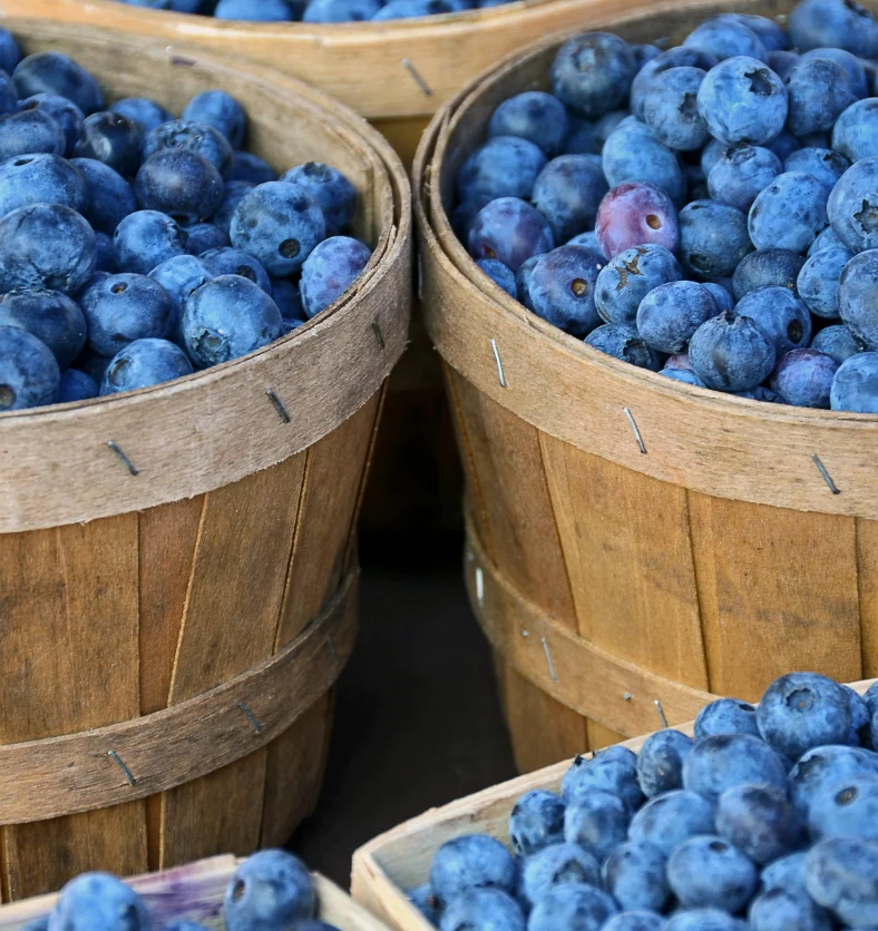 Blueberry - Fragrance Oil