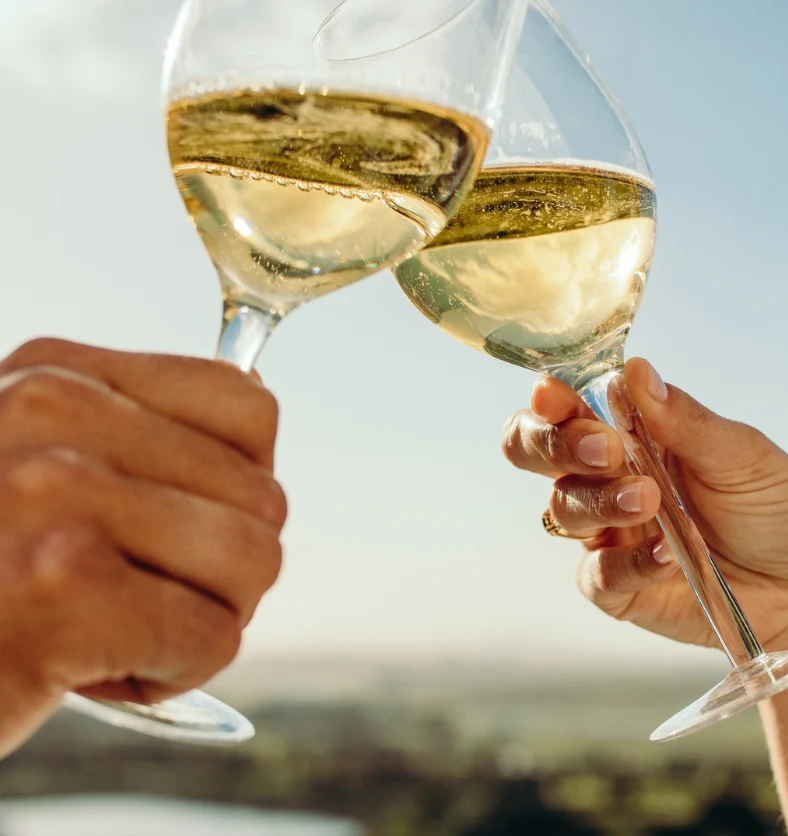 Wine Not - Fragrance Oil