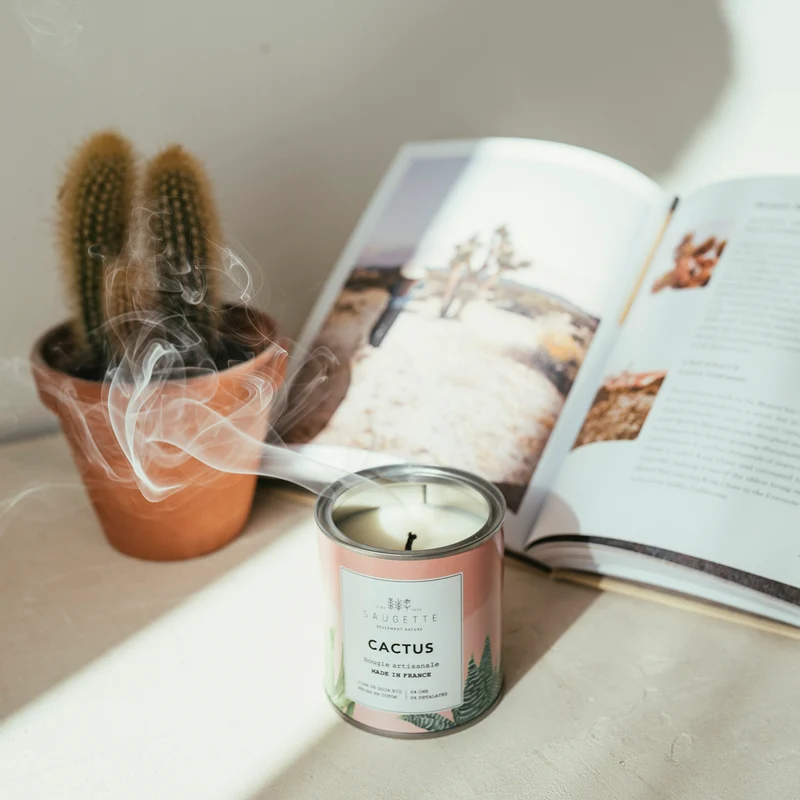 Cactus - Bougie artisanale parfumée à la cire de soja naturelle