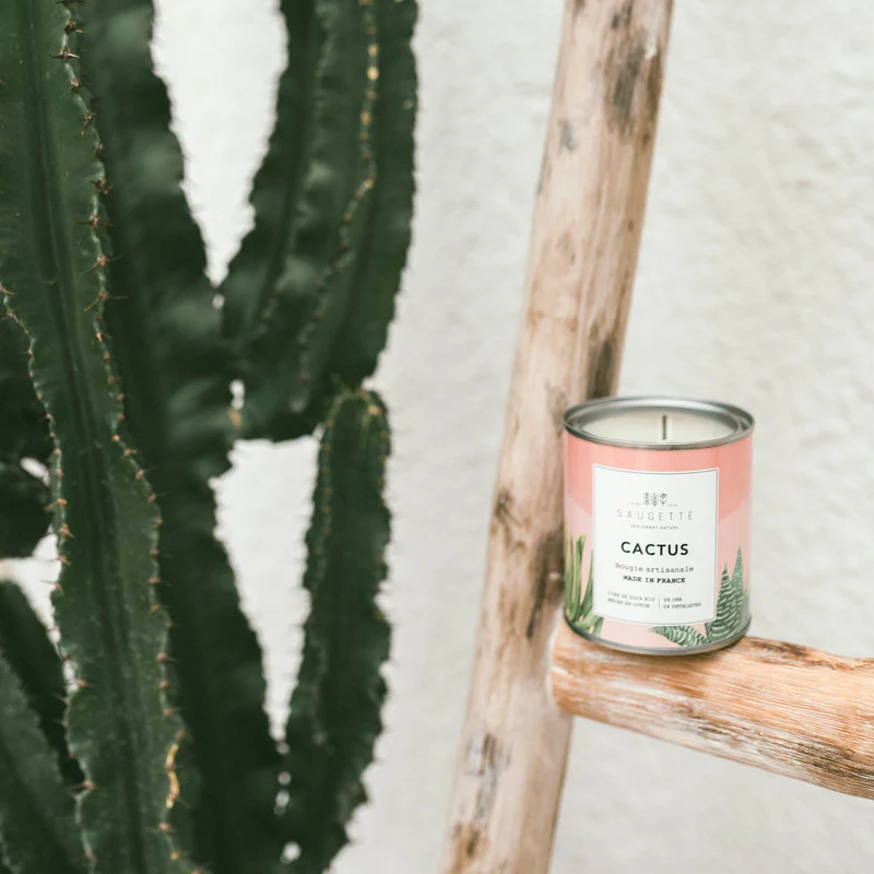 Cactus - Bougie artisanale parfumée à la cire de soja naturelle