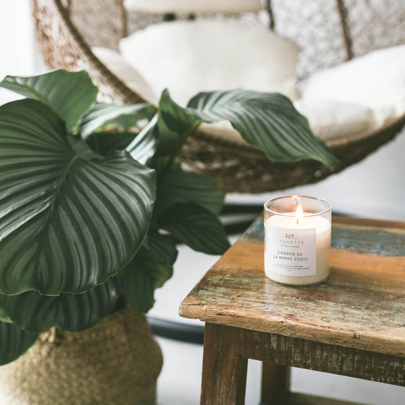 L'odeur de la papaye verte - Bougie artisanale parfumée à la cire de soja naturelle