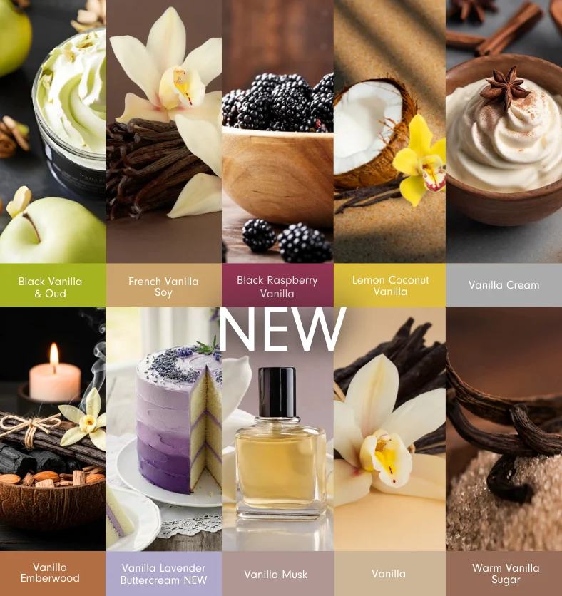Vanilla Collection Fragrance Explore Kit