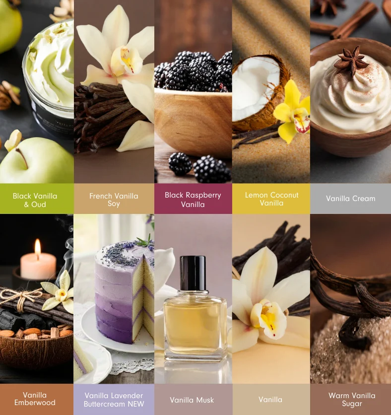 Vanilla Collection Fragrance Explore Kit