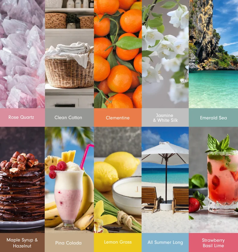Spring & Summer Fragrance Explore Kit