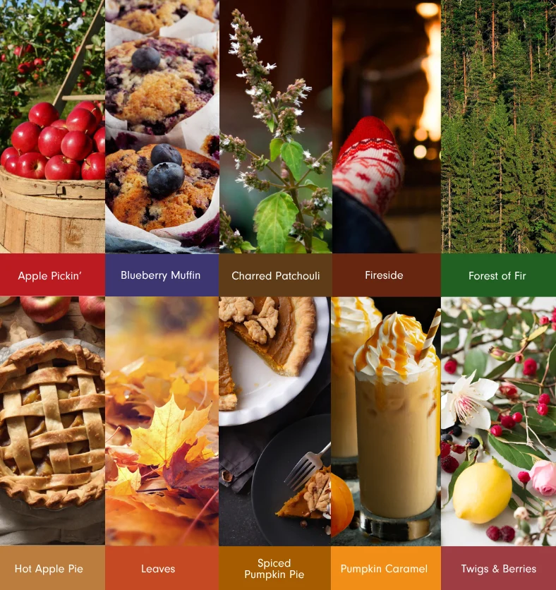 Fall Fragrance Explore Kit