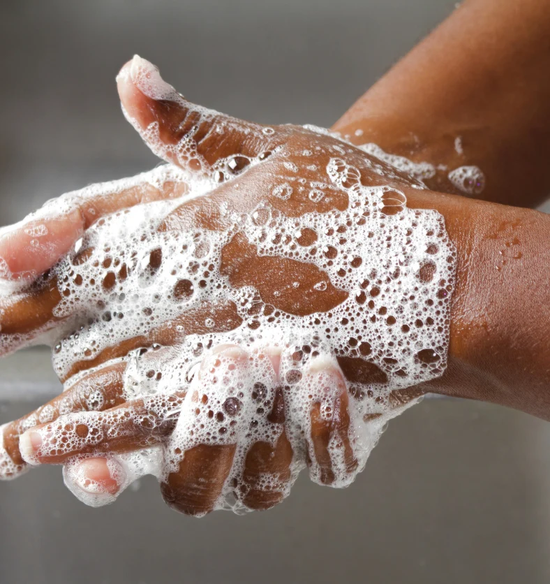 Liquid Soap Base