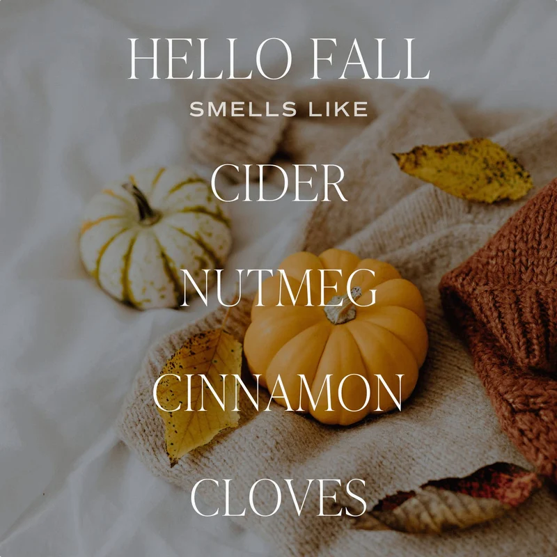 Sweet Water Decor ~ Soy Candle Pumpkin Jar
