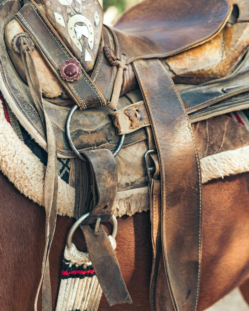 burnished saddle & golden shadow™ fragrance oil